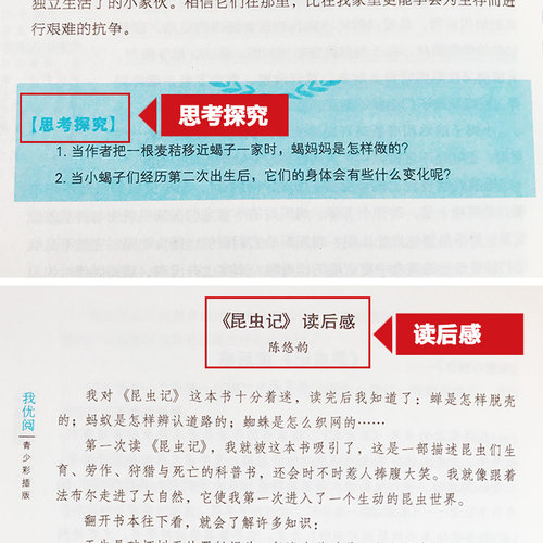 我优阅 昆虫记 青少彩插版语文人教版中小学生三四五六七八九年级昆虫记青少年课外阅读经典文学国内外小说系列丛书上海大学出版社 - 图2