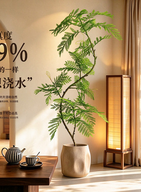 家居室内软装绿植沙发电视柜装饰