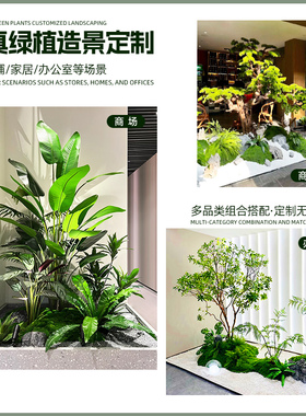 橱窗室内景观●仿真绿植造景
