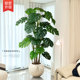 Monstera deliciosa simulated green plant high-end light luxury large potted plant interior decoration ornaments living room floor-standing bionic fake tree plant