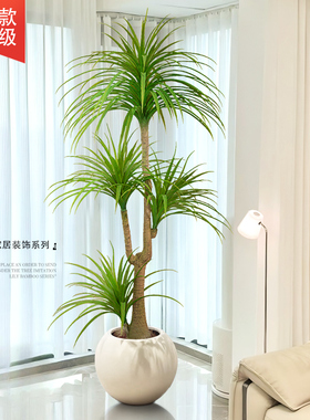 【新品首发】3D新技术高仿真绿植
