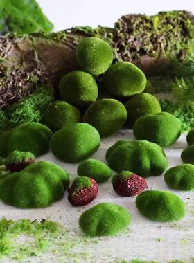 苔藓植物仿真苔藓块植毛石头大小