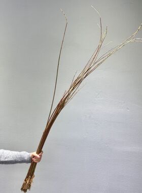 仿真竹节草木贼假植物花艺装饰插花配材摆件花材绿植摆设酒店细竹