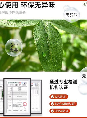 森泰仿真绿植南天竹直播间氛围树
