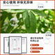 Sentai Simulated Green Plants Nandina Bamboo Live Room Atmosphere Tree