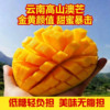 正宗云南黄金澳芒果3斤