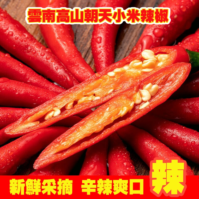 云南小米辣椒新鲜现摘朝天椒特辣超辣薄皮土红辣椒指天椒5斤批发3