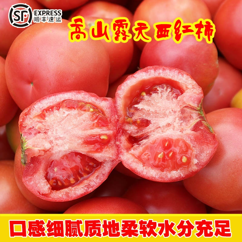 【顺丰快递】云南自熟沙瓤西红柿老品种水果番茄露天新鲜拒绝催熟