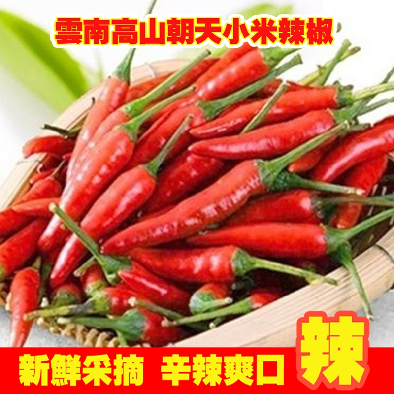 云南小米辣椒新鲜现摘朝天椒特辣超辣薄皮土红辣椒指天椒5斤批发3