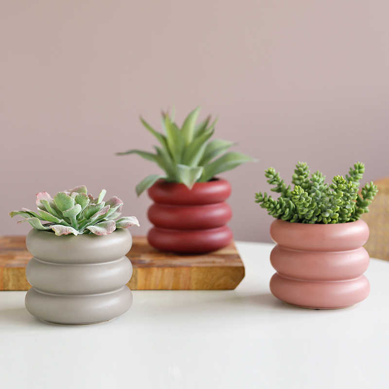 多肉组合盆栽套餐 新人首单立减十元 21年9月 淘宝海外