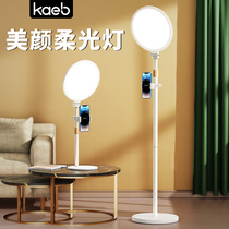 kaeb beauty easter fill light lamp straight podcast light equipment net red anchor face beauty face beauty special fight light lamp phone bracket professional portrait spot light jewelry clothing flat soft light lamp photography