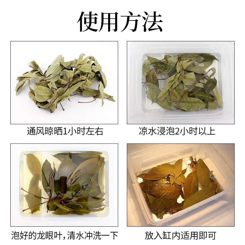 免煮乌龟龙眼叶家用养龟用品水族鱼缸榄仁叶懒人调节水草造景龟缸
