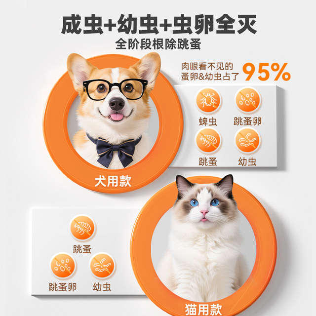 Pointe external deworming medicine for cats and dogs
