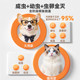 Pointe external deworming medicine for cats and dogs