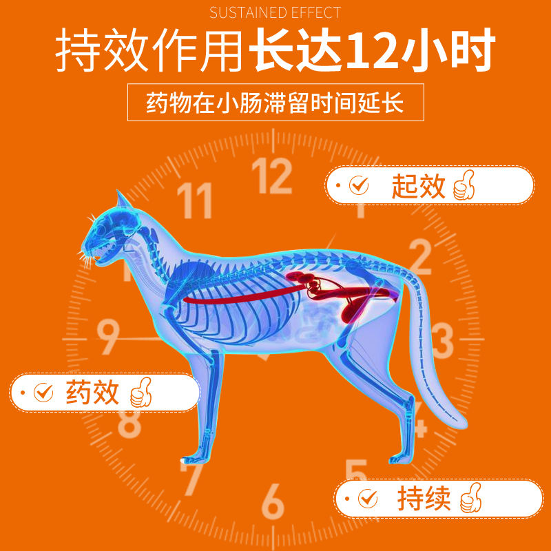 普安特利尿通猫咪尿闭尿血尿路感染狗狗猫尿道炎泌尿系统药泌维纳 - 图2