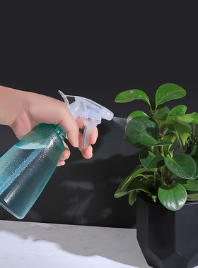 磨砂喷雾器淋花浇花瓶500毫升消毒喷壶酒精小喷壶细雾清洁喷瓶