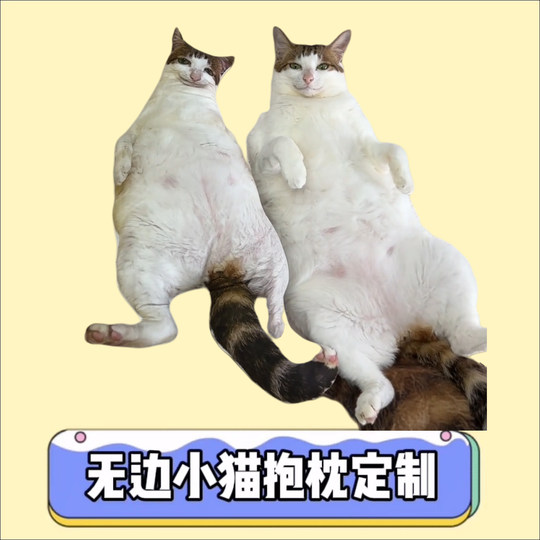 No white edges, life-shaped pillows, custom dolls, custom small doll photos, rat dry dolls, funny pets