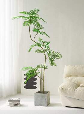 新款蓝花楹仿真绿植落地盆栽 仿生植物摆件室内客厅沙发旁装饰树
