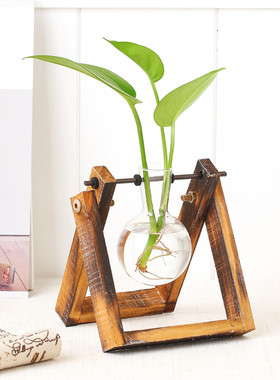 水培容器绿萝植物玻璃桌面摆件