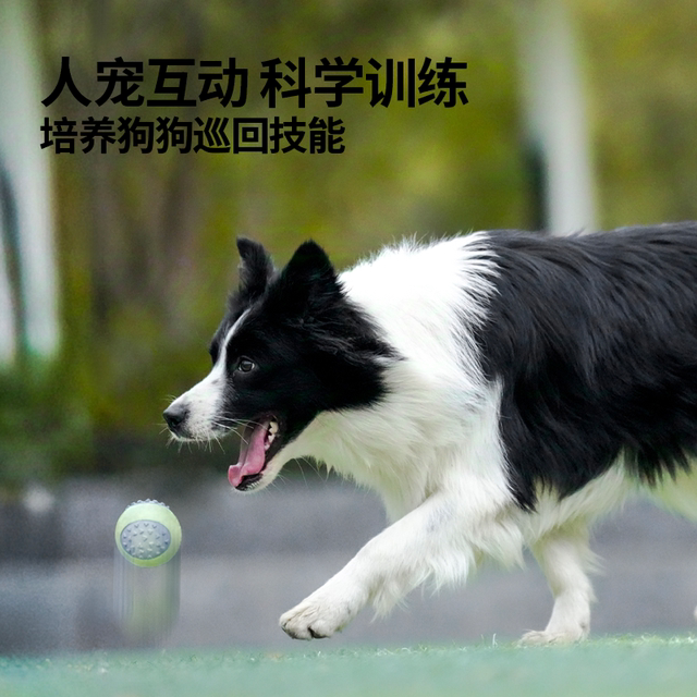 Dog toy ball sounding small and medium-sized dog toys