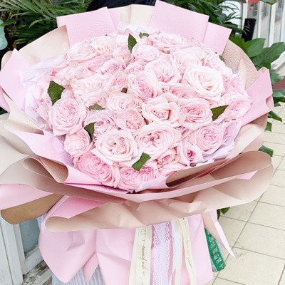 沈阳鲜花同城速递11朵粉色红康乃馨花束生日母亲节妈妈大连送花