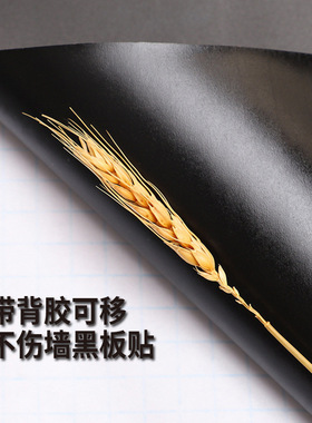 PP黑板贴家用黑板墙贴学校培训绿板贴儿童涂鸦白板贴留言板写字板