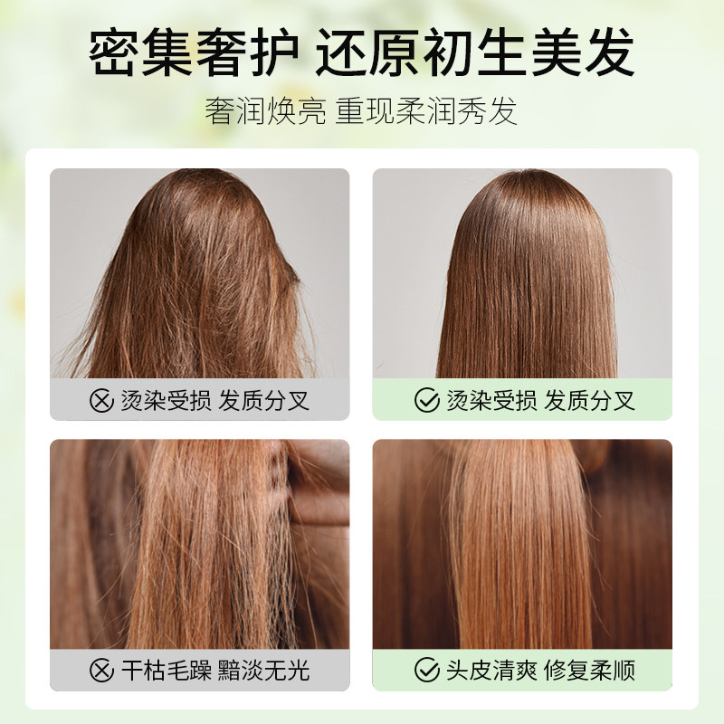 柏缇沐浴露女持久留香家庭装洗发水 柏缇洗护沐浴露