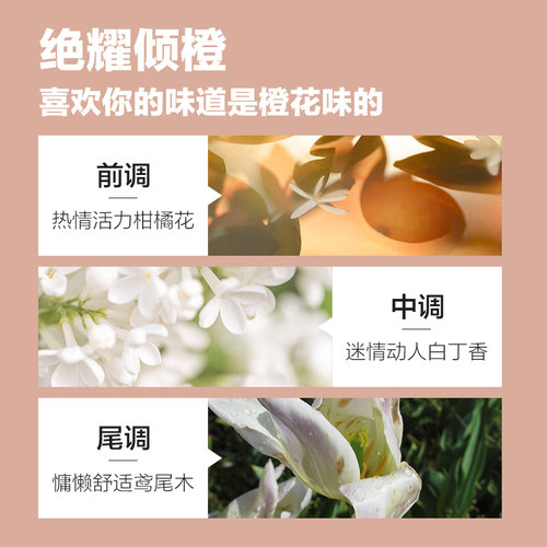 Pote柏缇郁金香滋润洗发露氨基酸留香柔顺改善毛躁蓬松止痒洗发水 - 图0