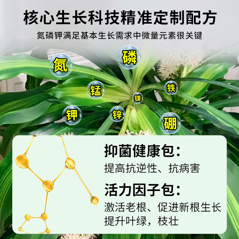 免稀释巴西木专用营养液巴旦木专用肥料家用花卉植物液体肥幸运木 - 图2