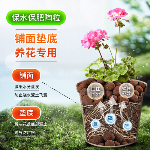 陶粒垫底养花专用多肉土盆栽铺面石花盆水培透气陶土粒回填卫生间 - 图0