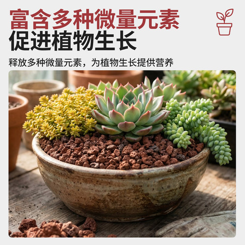 园艺铺面兰花多肉专用造景垫底古法养鱼材料大块过滤石火山岩颗粒 - 图3