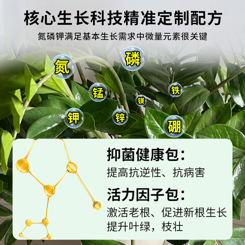 免稀释金钱树专用营养液室内发黄树叶面花肥料花卉盆栽绿植物专用,淘宝优惠券,粉丝福利购,淘宝优惠卷