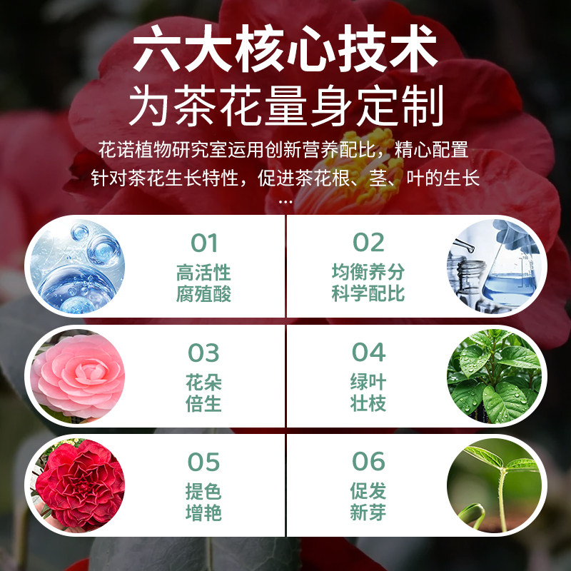 茶花专用营养液山茶花肥料专用肥催花开花液体肥酸性植物营养液,淘宝优惠券,粉丝福利购,淘宝优惠卷
