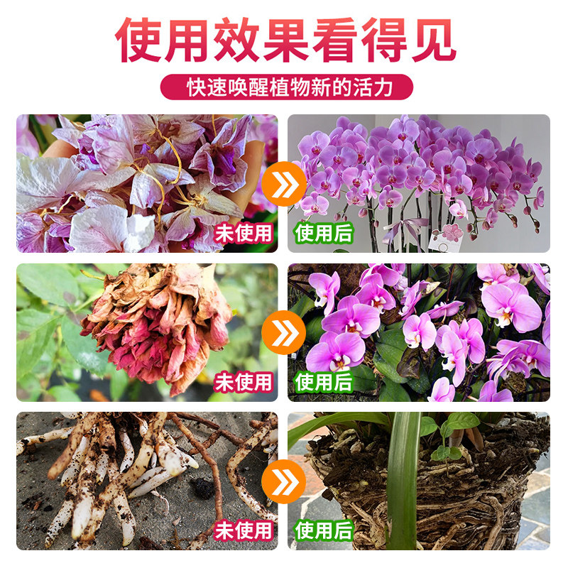 免稀释兰花营养液专用肥治黄叶黑斑烂根蝴蝶兰科植物开花有机肥料,淘宝优惠券,粉丝福利购,淘宝优惠卷