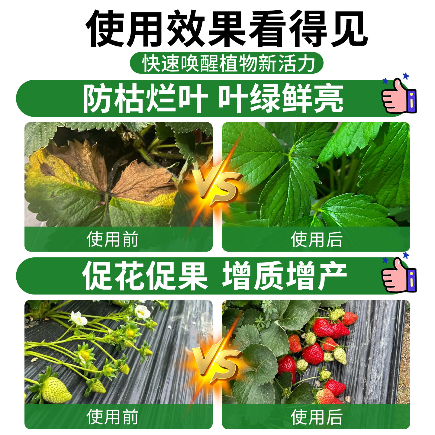 免稀释草莓营养液家用阳台盆栽种植草莓有机专用肥料催花促果增甜,淘宝优惠券,粉丝福利购,淘宝优惠卷