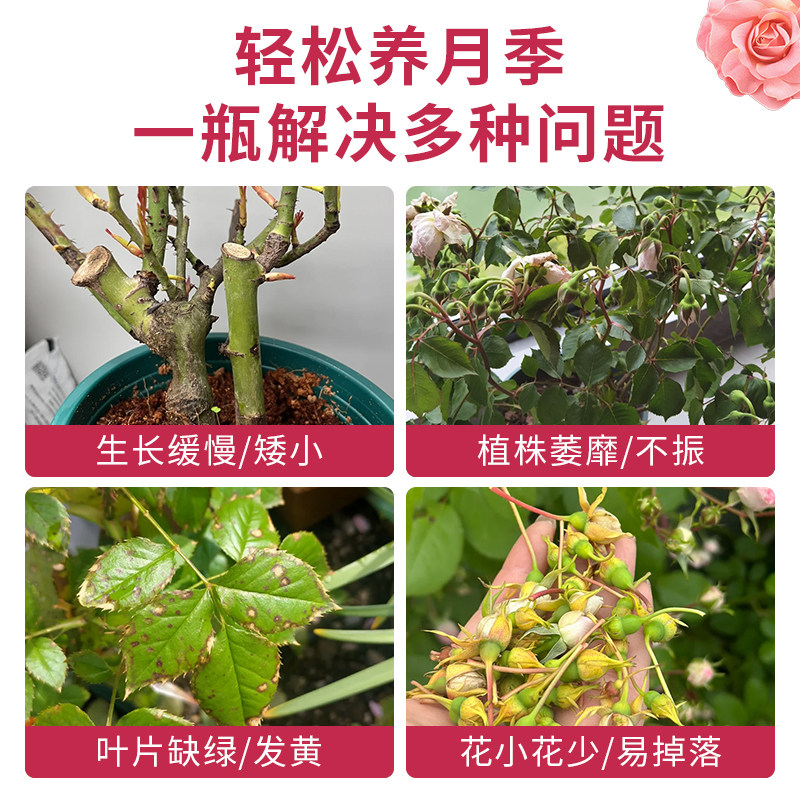 月季花肥料专用肥家用盆栽通用复合肥有机肥营养液磷酸二氢钾养花,淘宝优惠券,粉丝福利购,淘宝优惠卷