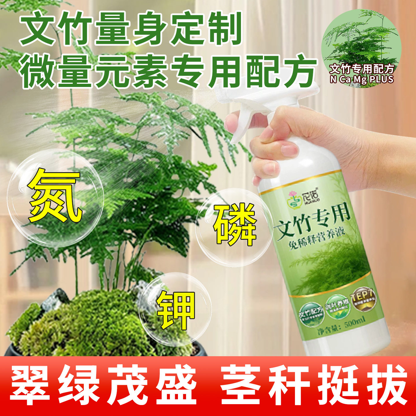 文竹营养液治黄叶花肥云竹专用肥料云松水培盆栽免稀释液体肥养护,淘宝优惠券,粉丝福利购,淘宝优惠卷