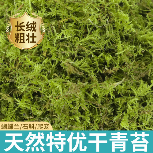 干苔藓水苔青苔兰花蝴蝶兰石斛种植专用营养土植料乌龟冬眠用水台 - 图3