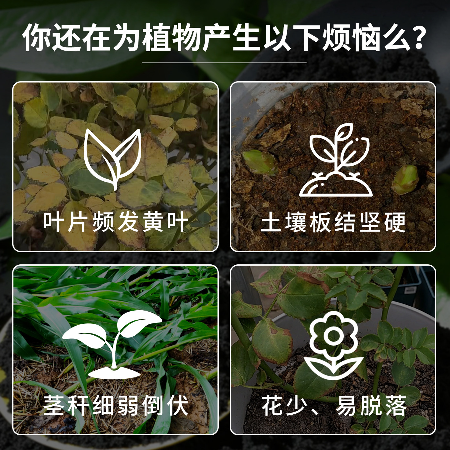 草木灰种菜用植物通用稻壳炭土壤有机钾肥花肥底料花卉果蔬通用型,淘宝优惠券,粉丝福利购,淘宝优惠卷