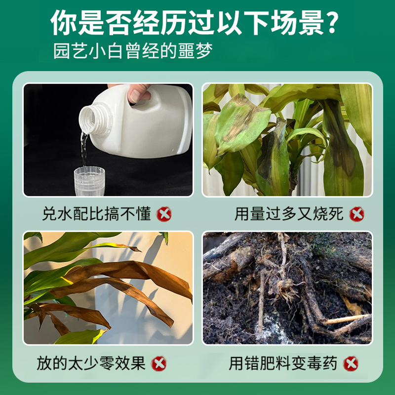 免稀释巴西木专用营养液巴旦木专用肥料家用花卉植物液体肥幸运木 - 图0