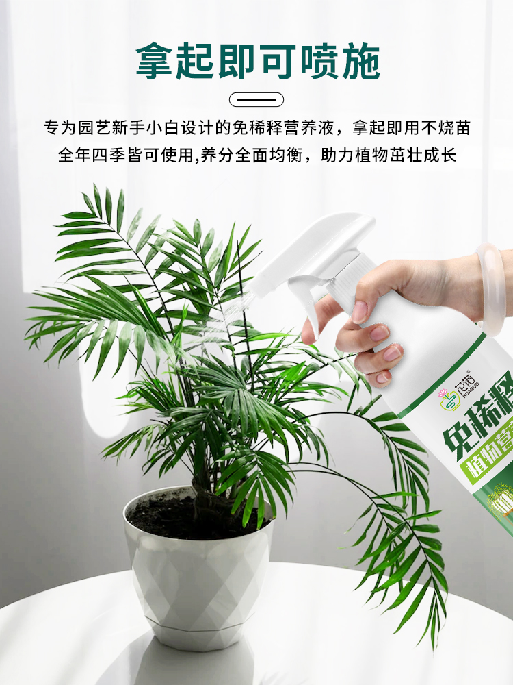 营养液植物通用型花肥料发财树水培富贵竹绿萝叶面喷施免稀释盆栽 - 图1