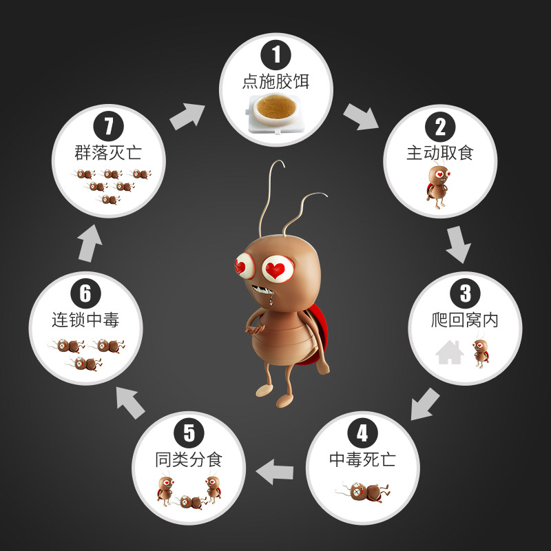 科凌虫控蟑螂药杀蟑胶饵一窝强力杀蟑胶饵家用捕捉端除灭蟑螂神器 - 图1