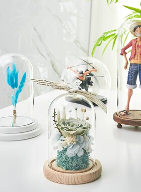 玻璃罩展示盒diy手办装饰桌面摆件干花透明防尘罩工艺品礼物包邮