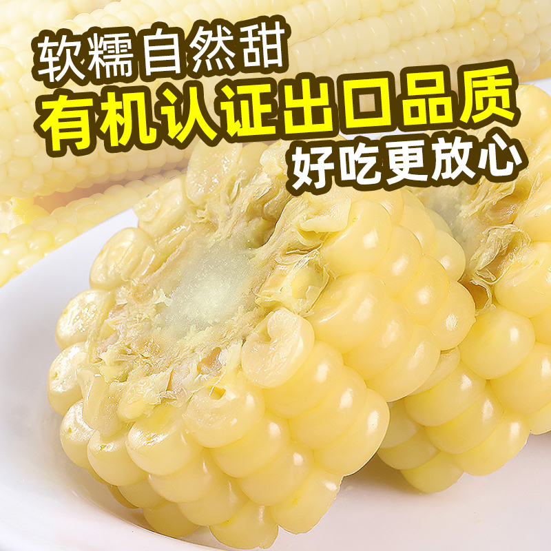 谷美优品新鲜白糯玉米非东北真空装加热即食黄黏有机糯玉米早代餐 - 图0