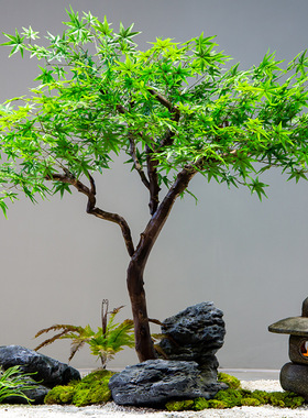 仿真绿枫叶树青枫树大型绿植室内设计装饰假树日式橱窗造景鸡爪槭