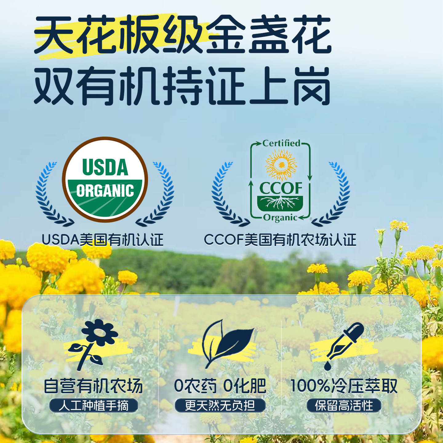 美国加州宝宝金盏花身体乳婴儿润肤乳液儿童面霜干燥止痒保湿滋润