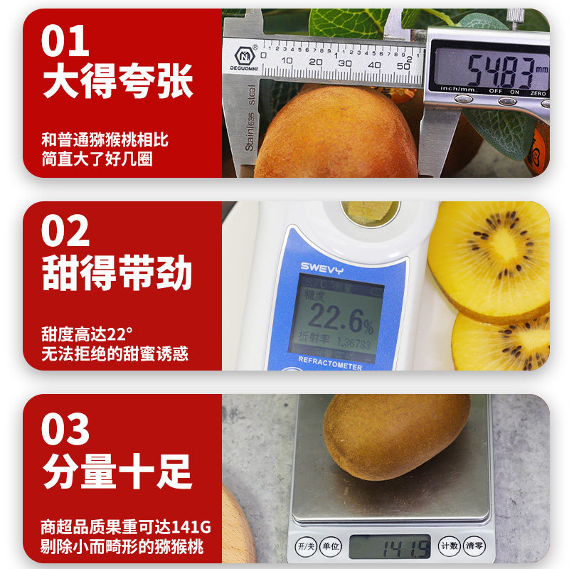  植都奇异果/猕猴桃