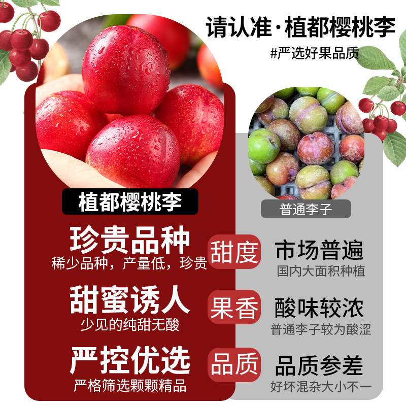 顺丰礼盒 智利樱桃李5斤进口李子新鲜水果原箱当季红心甜整箱包邮,淘宝优惠券,粉丝福利购,淘宝优惠卷