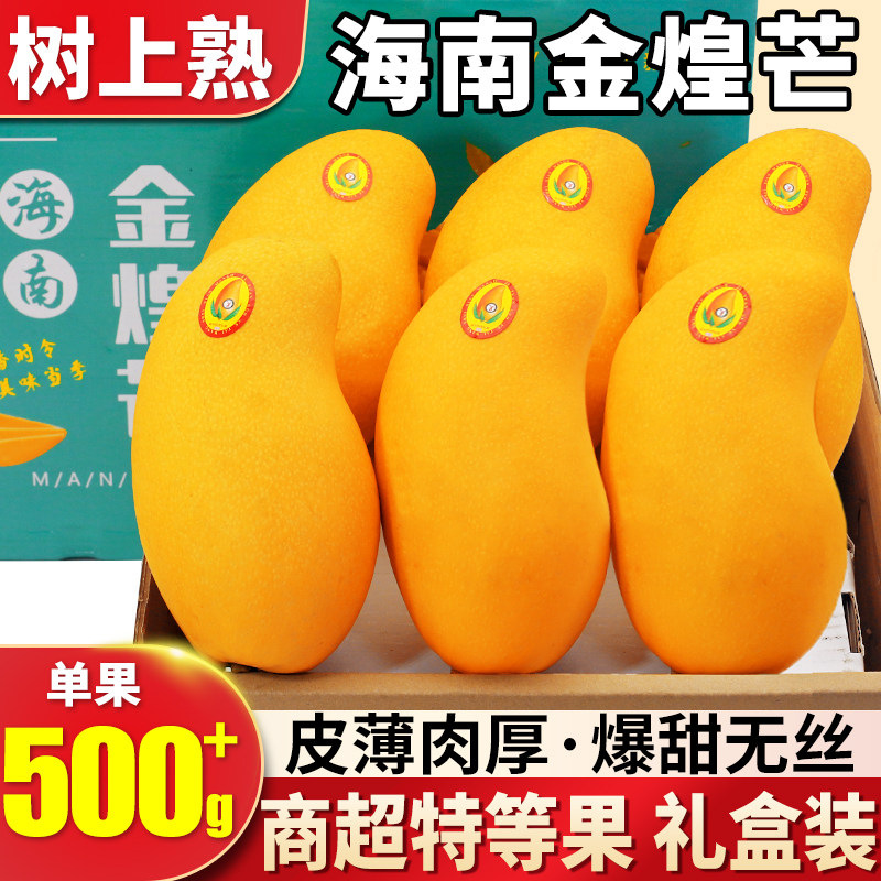 海南金煌芒芒果新鲜10斤当季精品甜心水仙芒树上熟水果礼盒包邮9