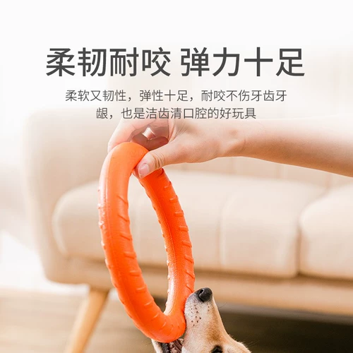 Интерактивная игрушка, фрисби для тренировок